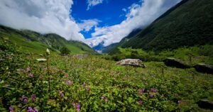 Read more about the article How to Reach the Magical Valley of Flowers from Delhi in 2024